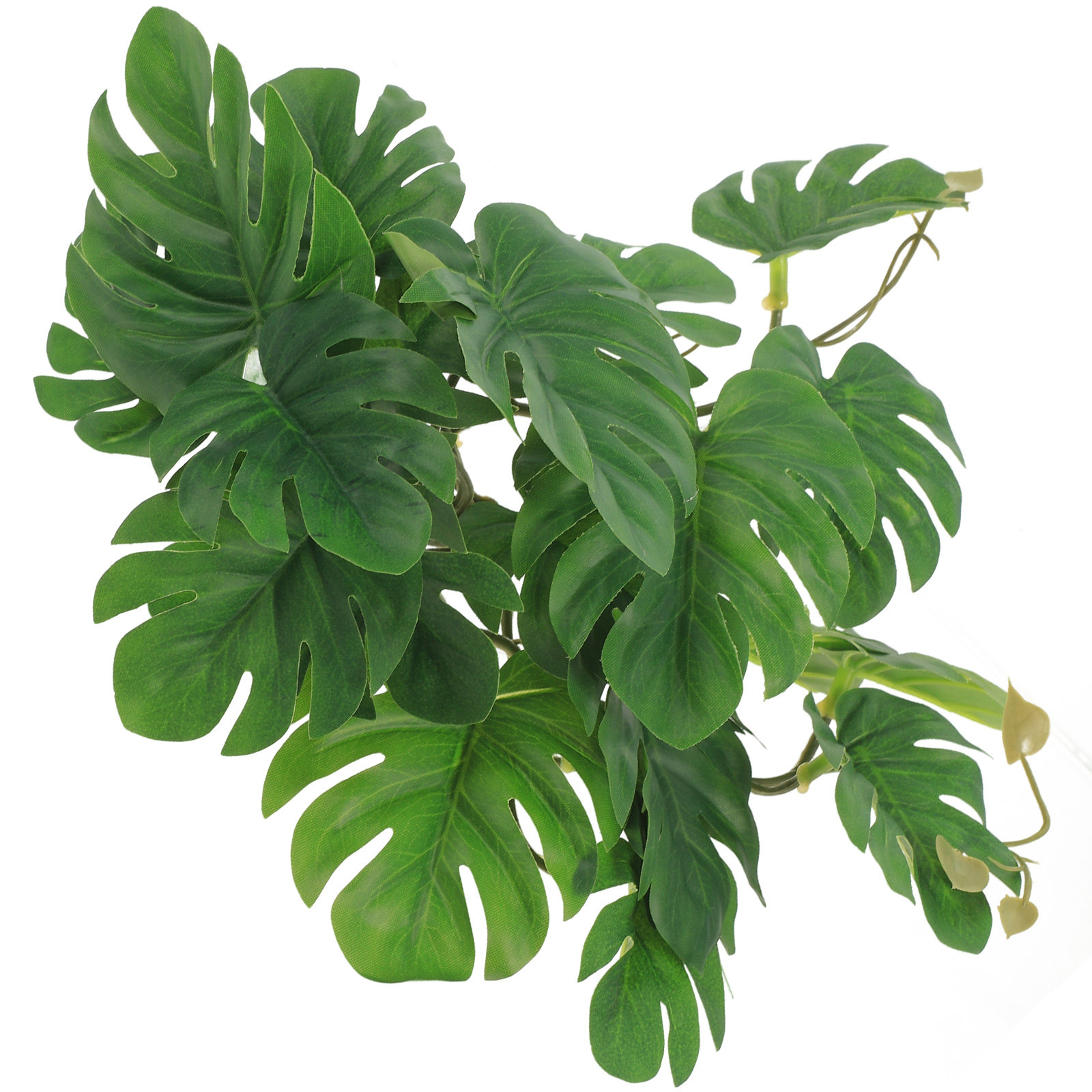 Non Planted Aquarium Fish - Veilige, niet-giftige reptielenplanten voor terrarium, hagedisbox,
