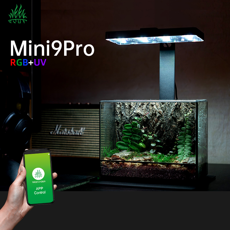 Planted Aquarium For Sale - Hete Aanbieding Mini9pro Nano Terrariumlamp USB