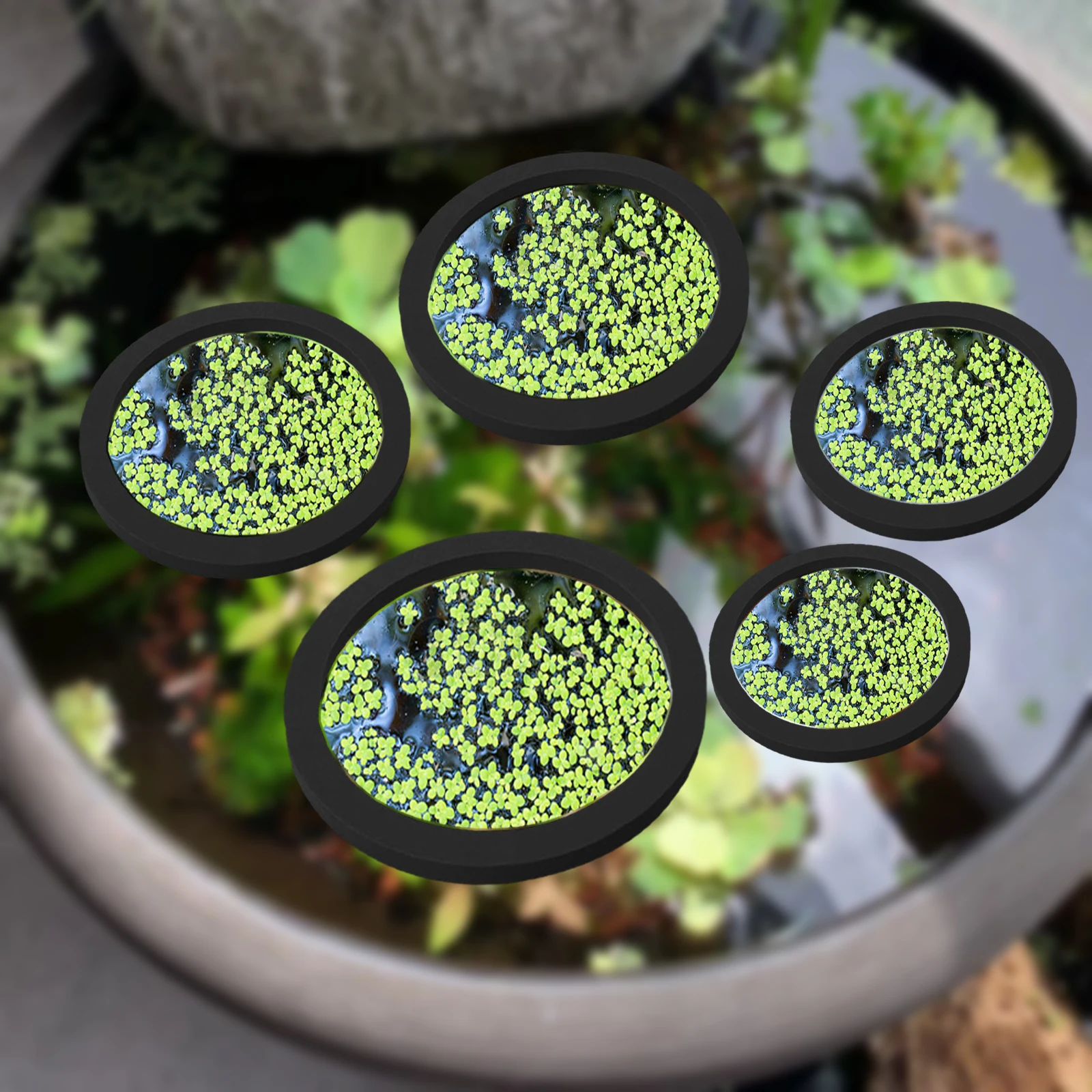 Aquarium Planted Tank - 5 stks EVA Vis Voeden Ring