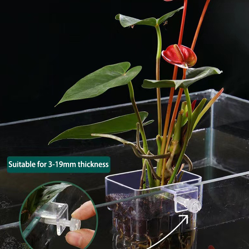 Aquarium Planted Tank - Multifunctionele Vis Aquarium Watergras Aanplant Cup