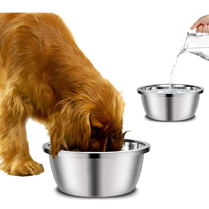 Royal Canin Food Medium - Een roestvrijstalen hondenvoederbak 20cm 24cm 28cm