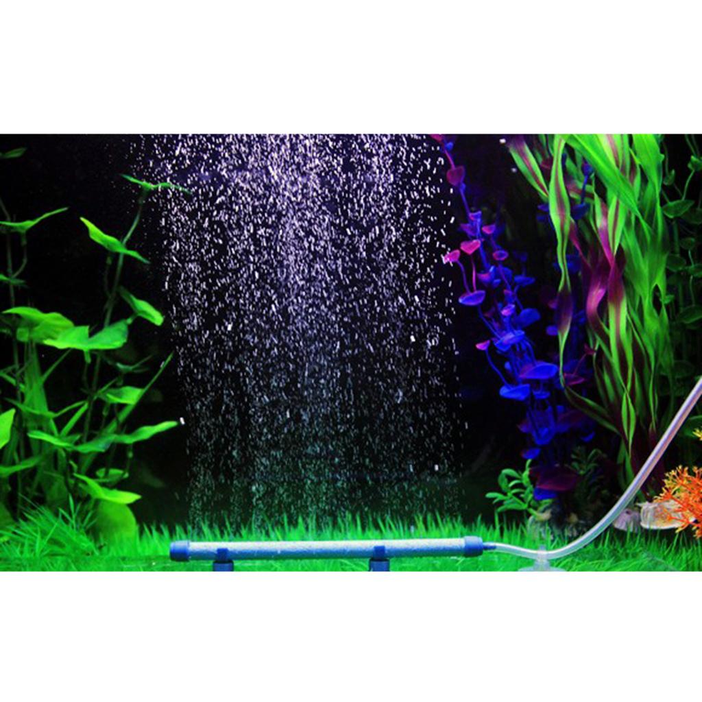 Zuurstofdiffusor Aquarium Belu - Non Planted Aquarium Fish recensie en prijs