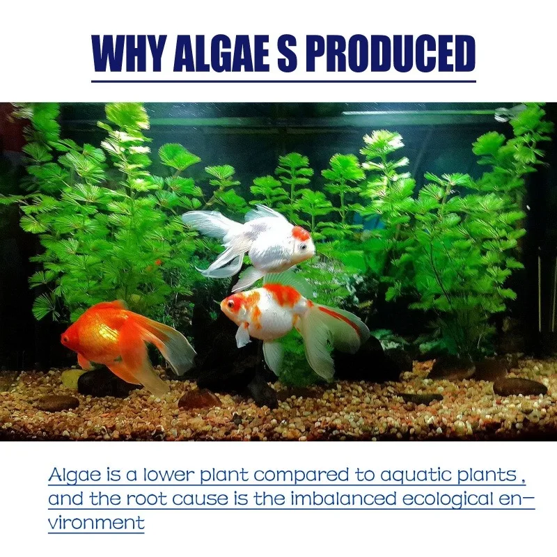 50g Hoogwaardig algemiddel teg - Planted Aquarium Parameters recensie en prijs