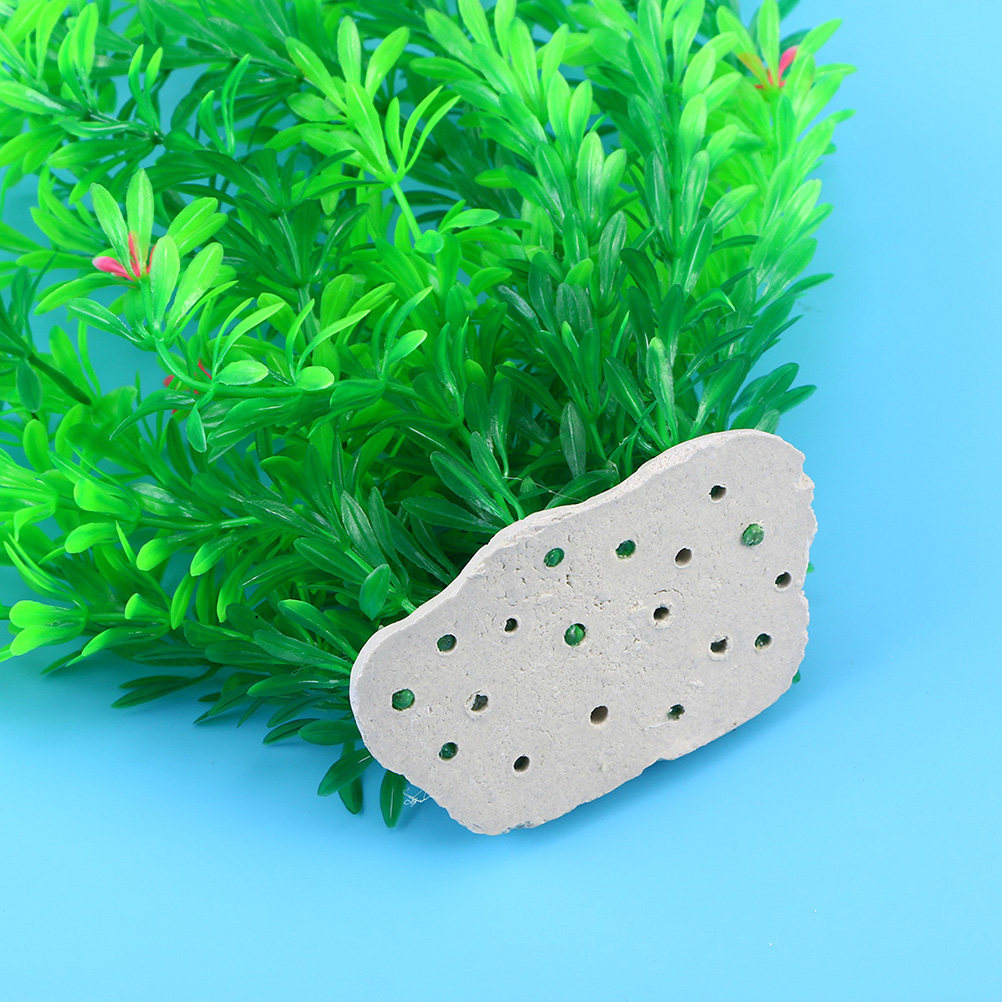 70 cm kunstplanten voor aquari - Non Planted Aquarium Fish recensie en prijs