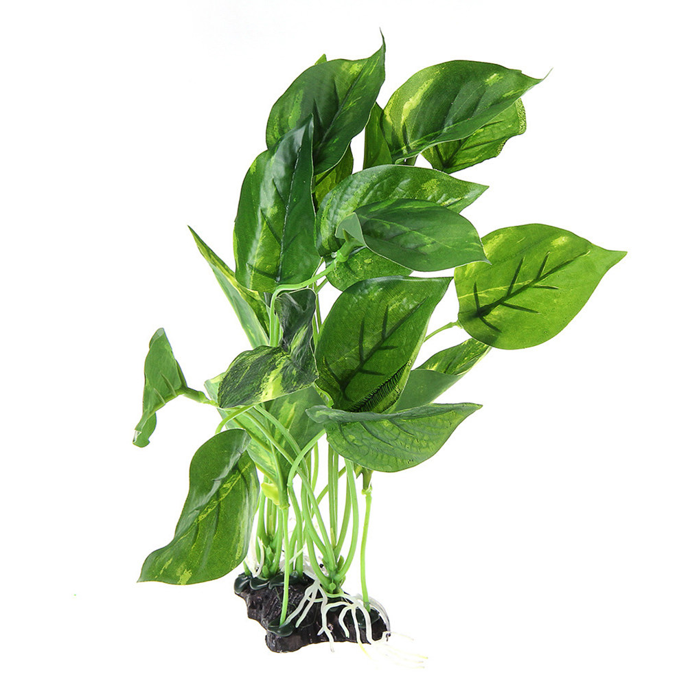 Realistische kunstplanten voor - Non Planted Aquarium Fish recensie en prijs