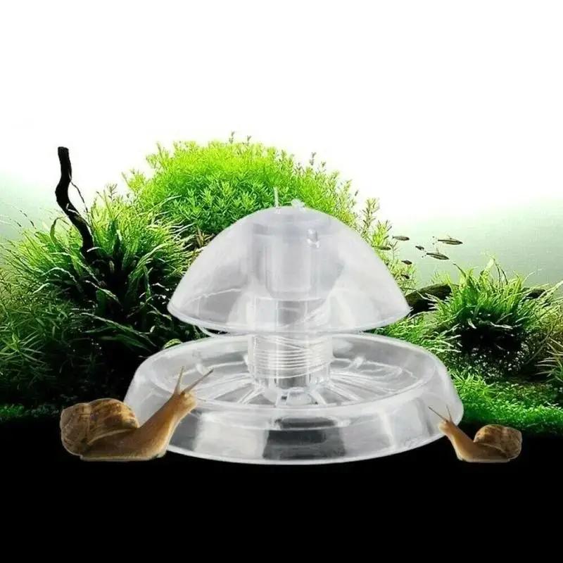 2026 Nieuwe 6/8CM Transparante - Planted Aquarium Parameters recensie en prijs
