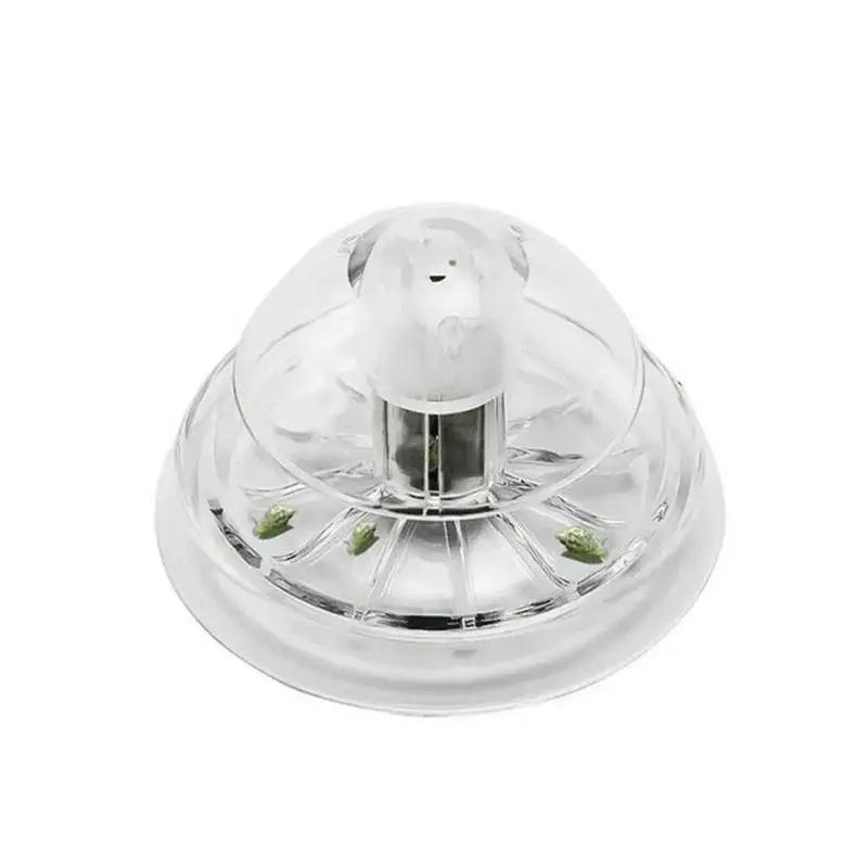 2026 Nieuwe 6/8CM Transparante - Planted Aquarium Parameters recensie en prijs