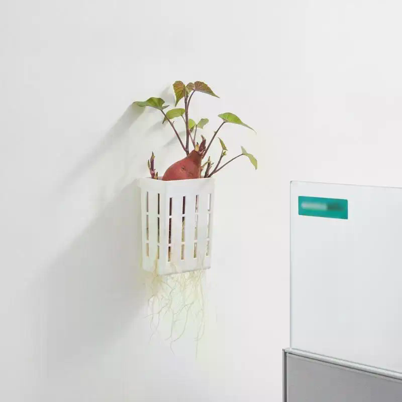 1 Stuks Hydroponische Onderste - Aquarium Planted Tank recensie en prijs