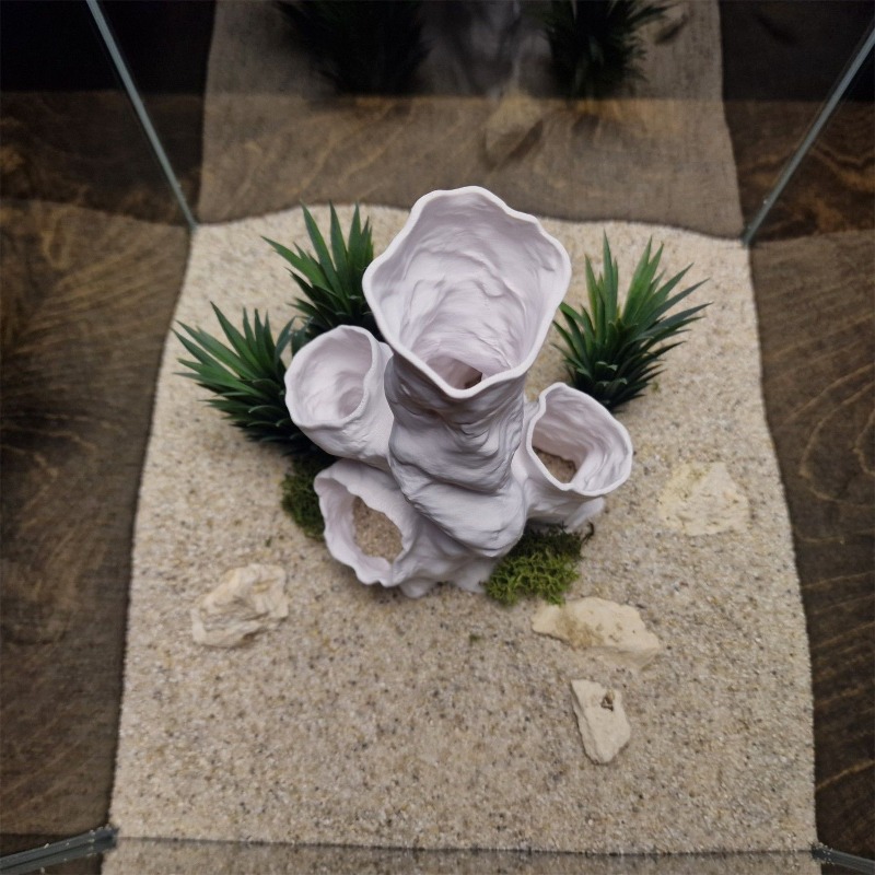 Hete Aanbieding 3D Geprint Kor - Planted Aquarium For Sale recensie en prijs