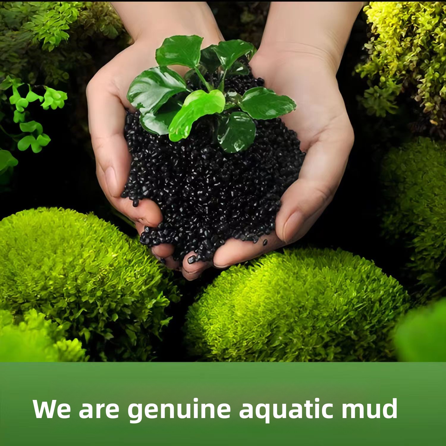 Niet-keramische aquatische pla - Non Planted Aquarium Fish recensie en prijs