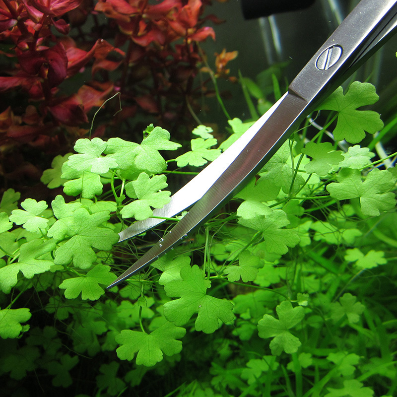 Aquarium Accessoires Hard Roes - Planted Aquarium Tools recensie en prijs