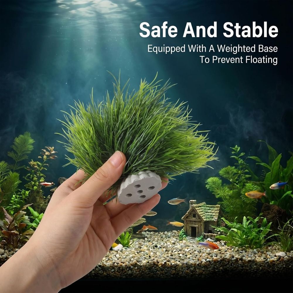 Niet-giftige kunstplanten voor - Non Planted Aquarium Fish recensie en prijs