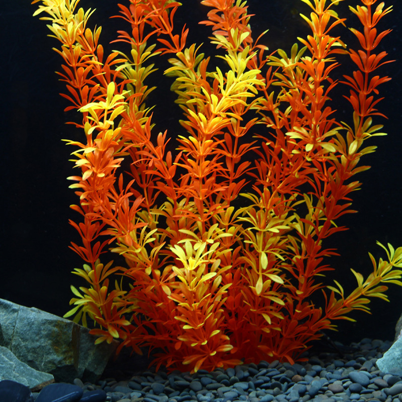 100cm Tropische Planten Grote  - Planted Aquarium Parameters recensie en prijs