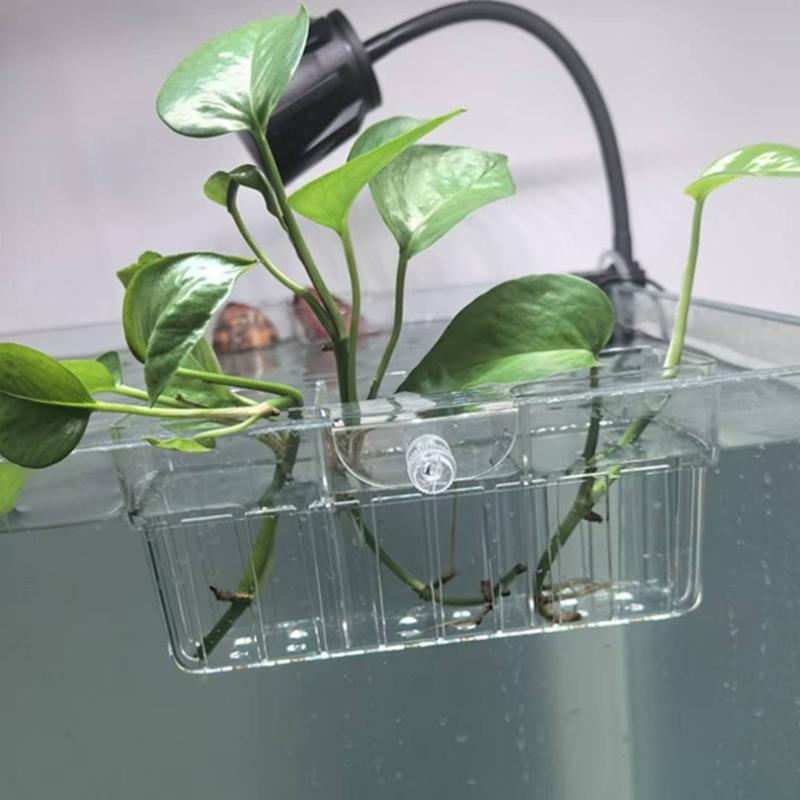Hydroponische plantenmand, voe - Aquarium Planted Tank recensie en prijs