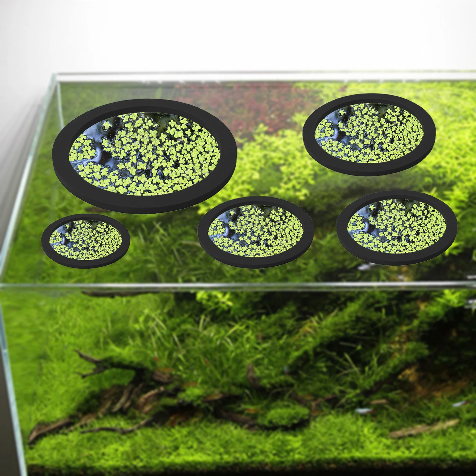 5 stks EVA Vis Voeden Ring Aqu - Aquarium Planted Tank recensie en prijs