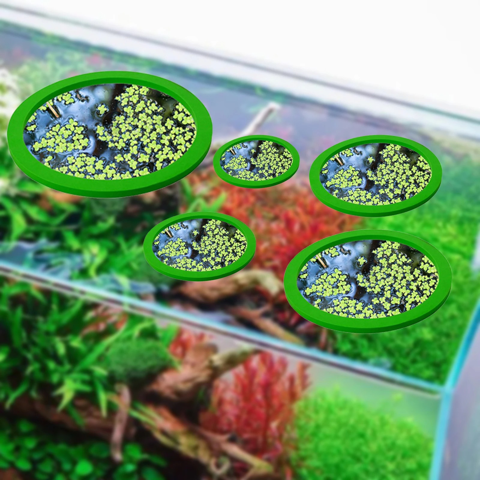 5 stks EVA Vis Voeden Ring Aqu - Aquarium Planted Tank recensie en prijs