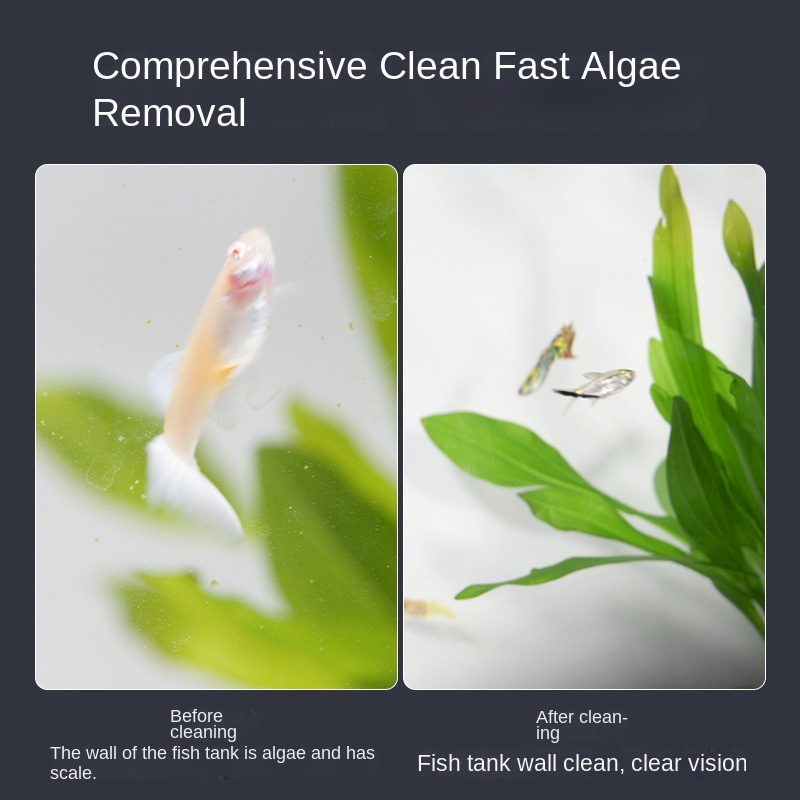 Mini vierkante magnetische bor - Planted Aquarium Maintenance Kit recensie en prijs