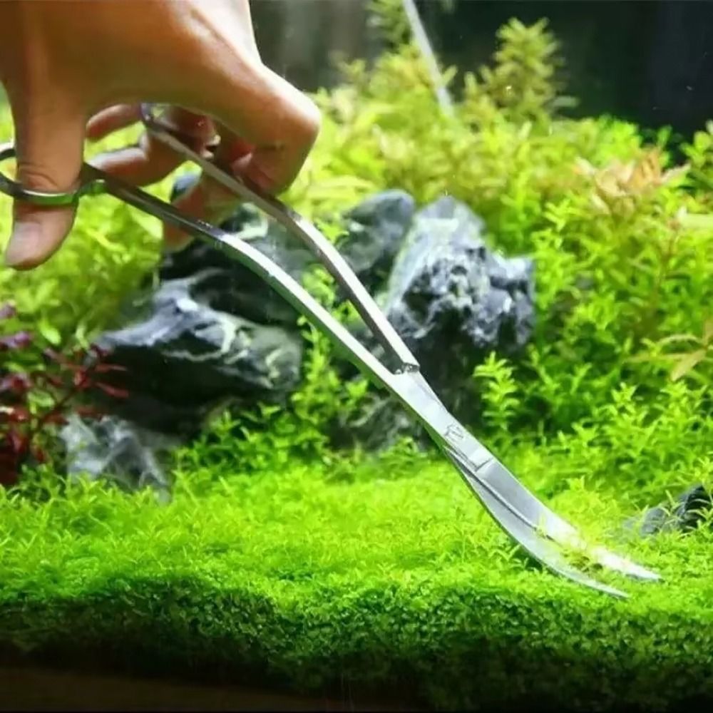 1 Stuks RVS Aquarium Schaar Re - Planted Aquarium Tools recensie en prijs