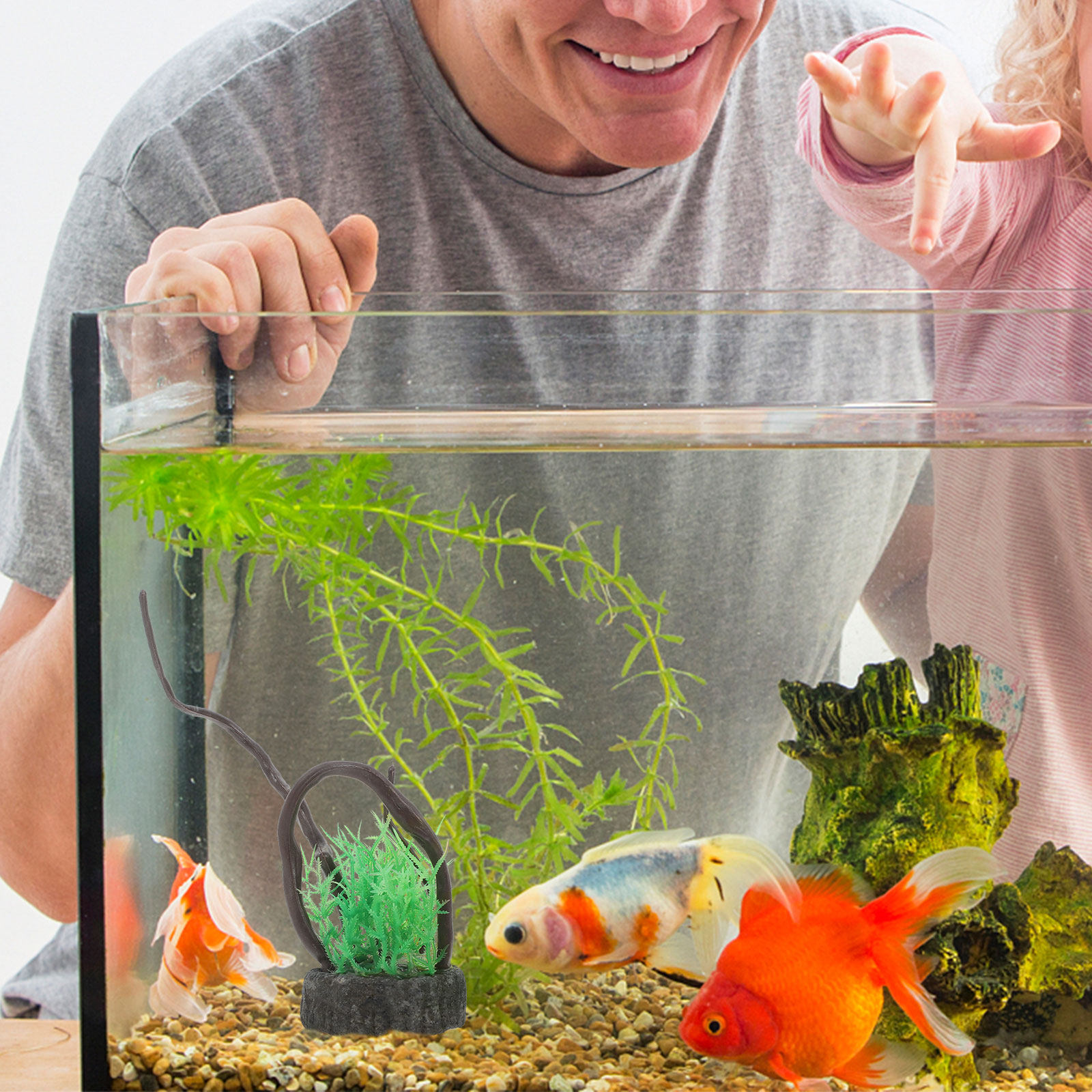Realistische kunstmatige aquar - Non Planted Aquarium Fish recensie en prijs