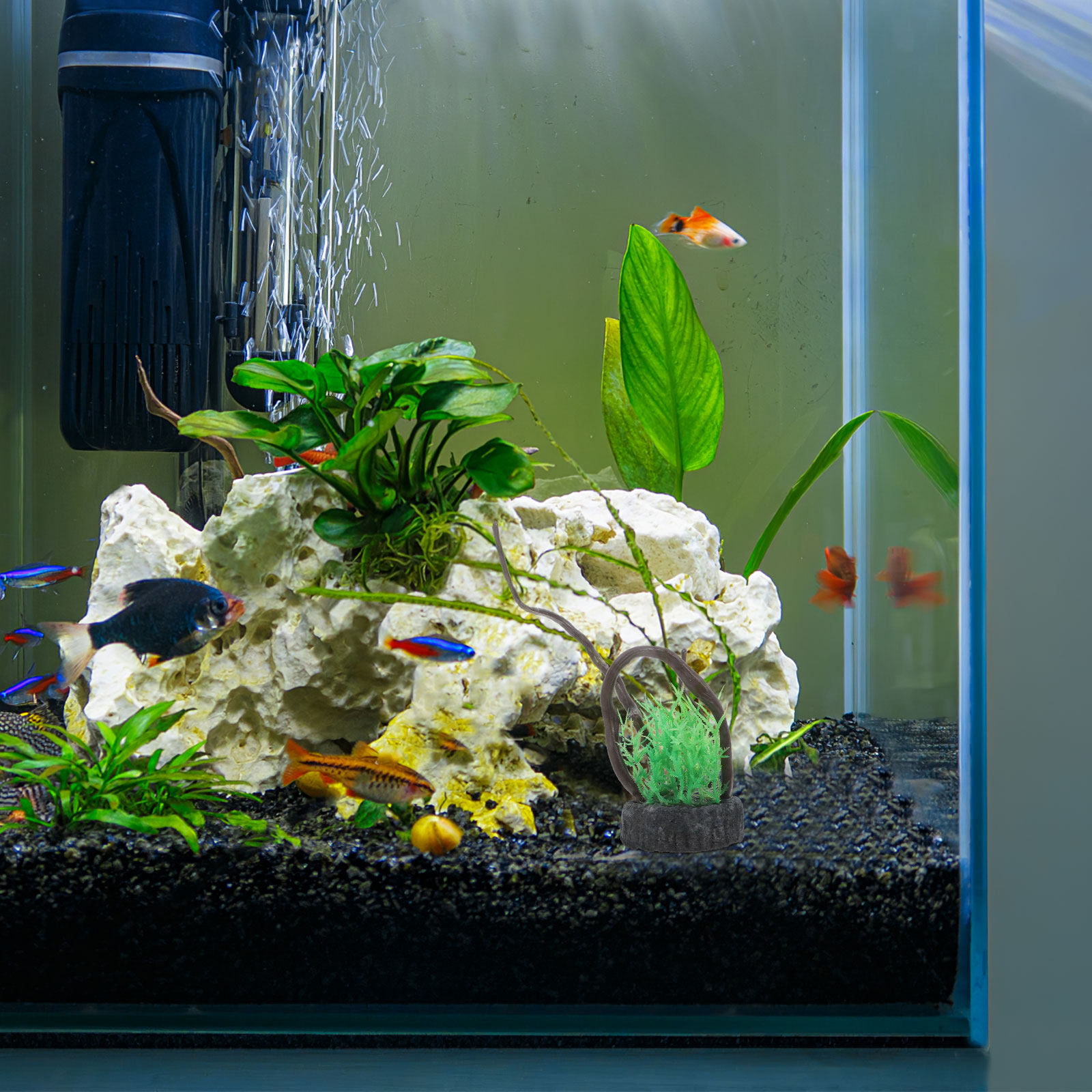 Realistische kunstmatige aquar - Non Planted Aquarium Fish recensie en prijs