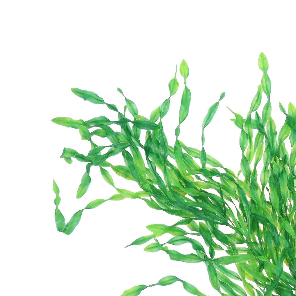Realistische aquariumplanten,  - Non Planted Aquarium Fish recensie en prijs