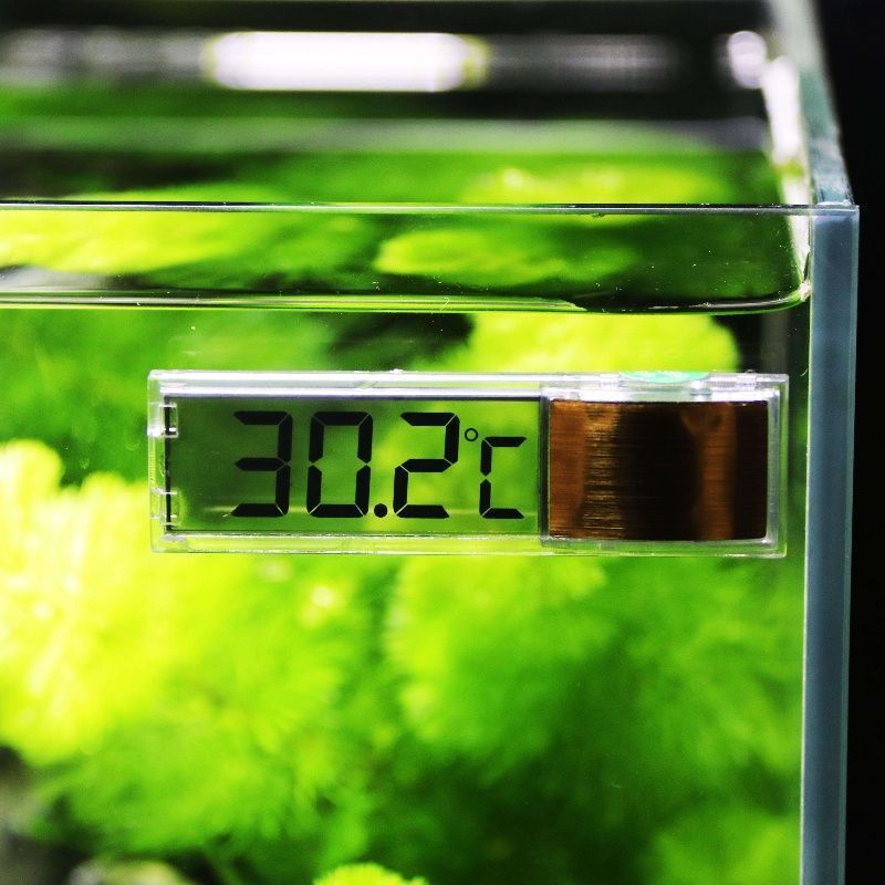 1 st Aquarium Thermometer 3D D - Planted Aquarium Temperature recensie en prijs