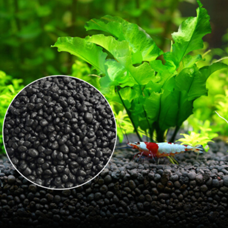 Aquarium Plant Zaden Bodem Fis - Planted Aquarium Parameters recensie en prijs