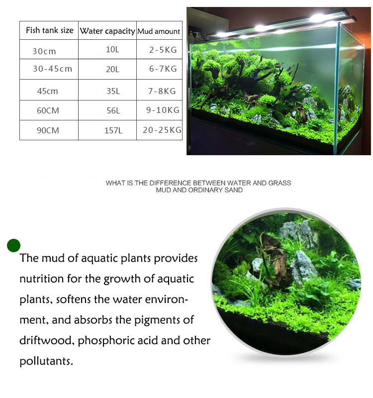 Aquarium Plant Zaden Bodem Fis - Planted Aquarium Parameters recensie en prijs