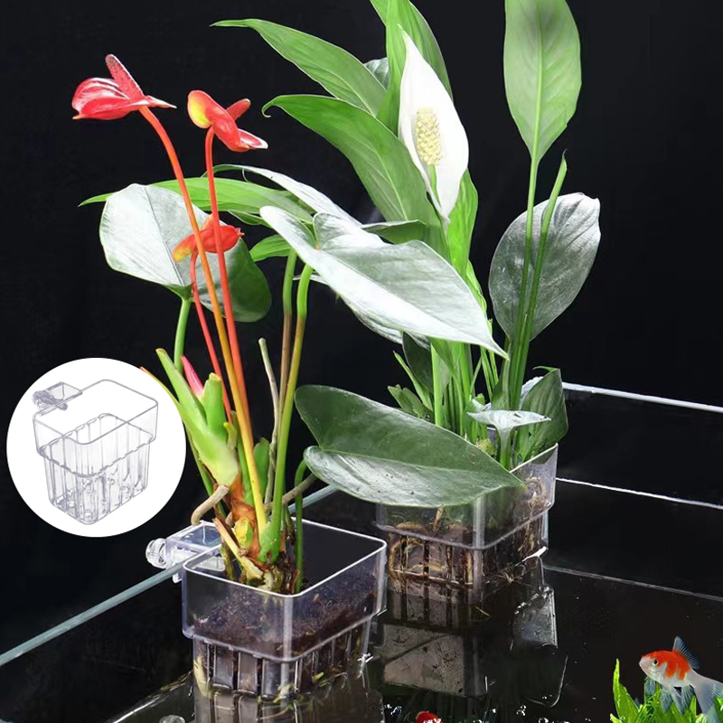 Multifunctionele Vis Aquarium  - Aquarium Planted Tank recensie en prijs