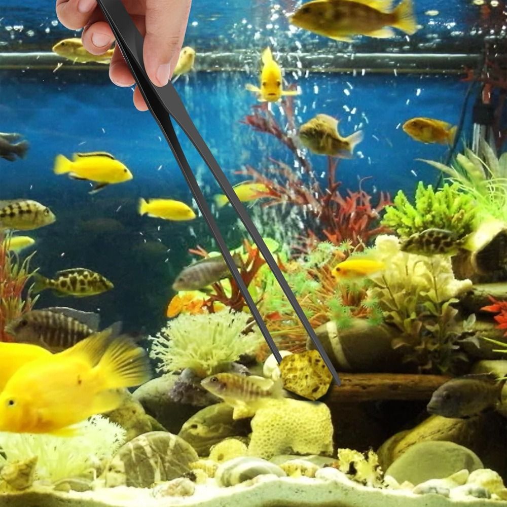 Roestvrijstalen lange aquarium - Non Planted Aquarium Fish recensie en prijs