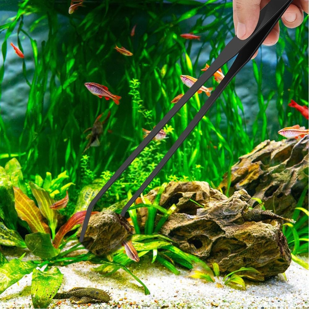 Roestvrijstalen lange aquarium - Non Planted Aquarium Fish recensie en prijs