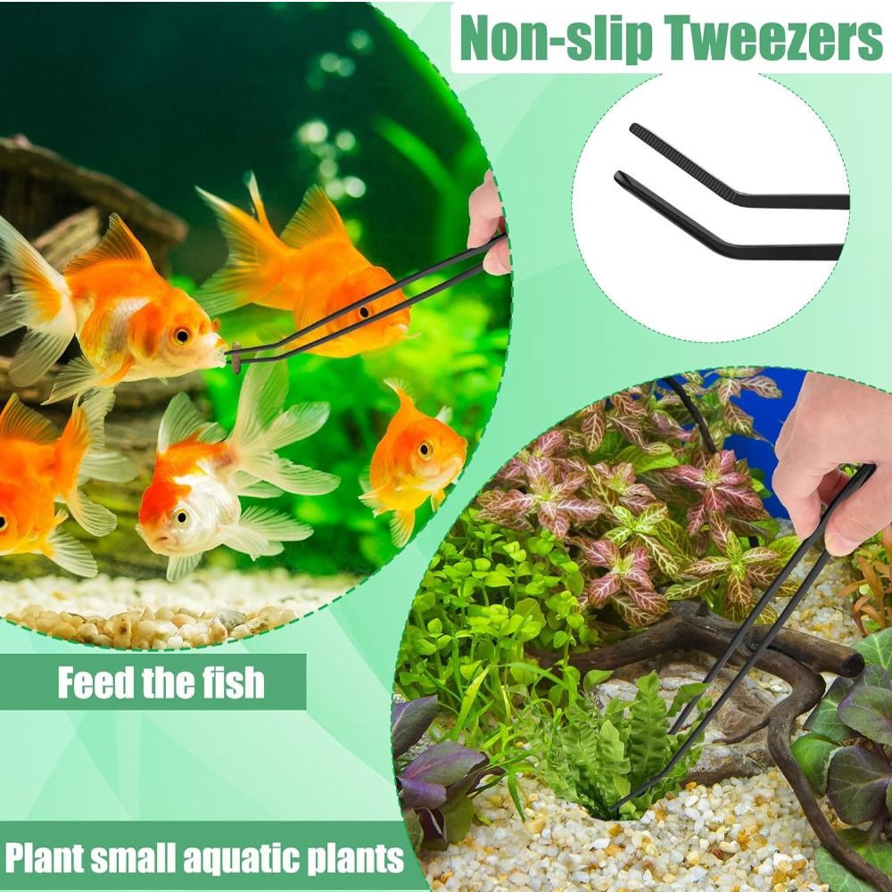 Roestvrijstalen lange aquarium - Non Planted Aquarium Fish recensie en prijs