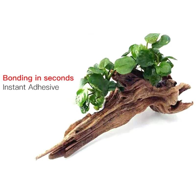 2-5 stuks transparante aquariu - Aquarium Plant Glue Gel recensie en prijs