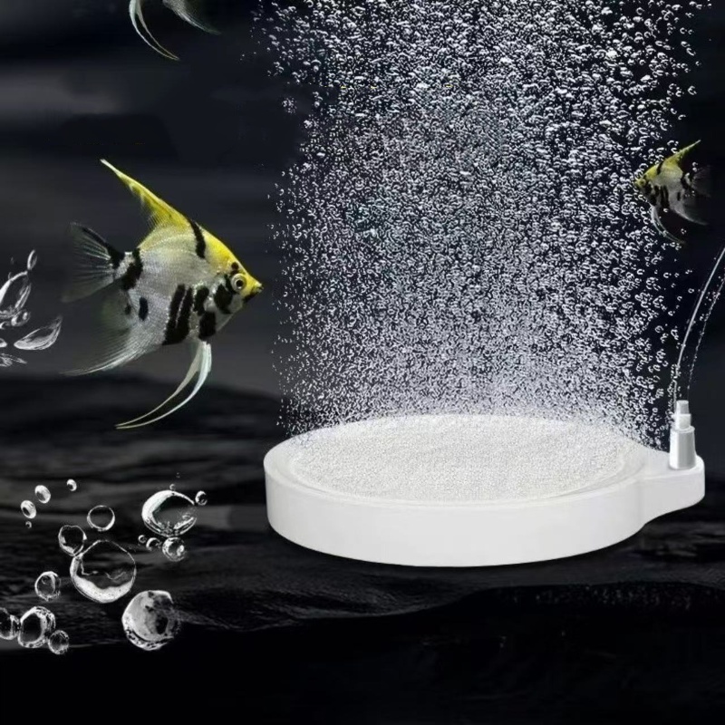 Nano Disc Air Stone Zuurstofbe - Planted Aquarium Accessories recensie en prijs