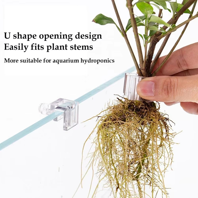 Hete Aanbieding 6 stuks Transp - Planted Aquarium For Sale recensie en prijs