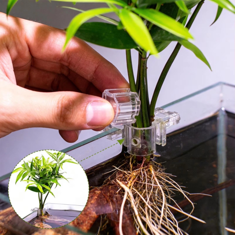 Hete Aanbieding 6 stuks Transp - Planted Aquarium For Sale recensie en prijs